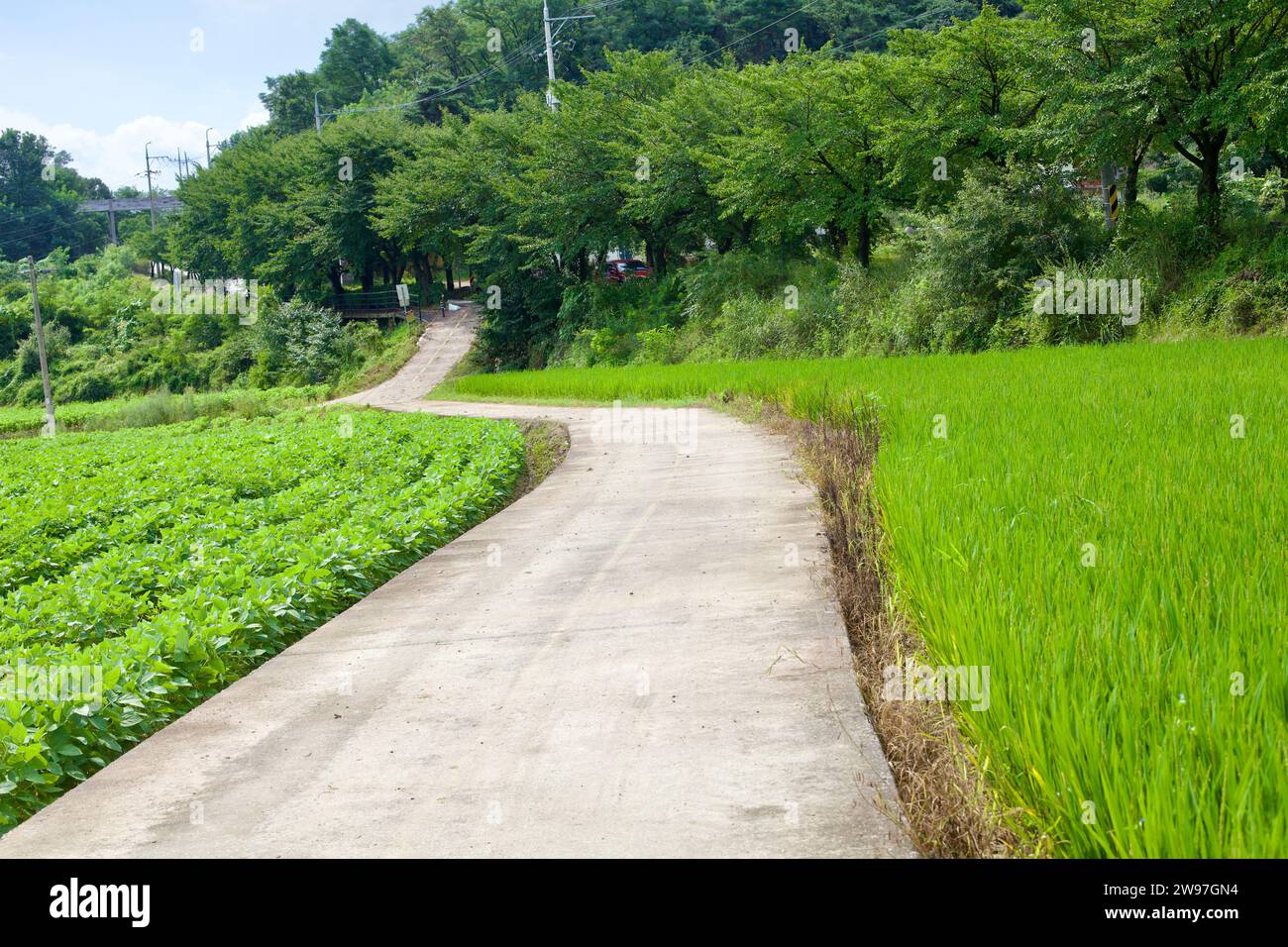 Città di Sangju, Corea del Sud - 10 febbraio 2021: Una strada ciclabile e contadina si snoda attraverso il riso e altri campi agricoli nella città di Sangju, salendo gradualmente Foto Stock