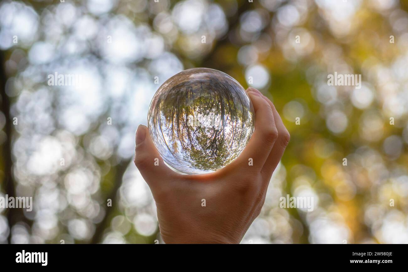 Concetto di ambiente, una sfera di cristallo tenuta con una mano e il braccio in altezza riflette la natura e gli alberi. Concetto e tema della natura, prendiamo l'auto Foto Stock