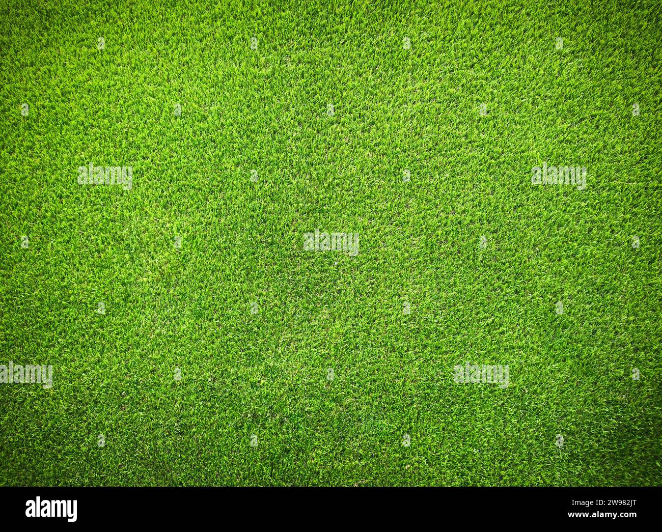 Erba artificiale con una texture verde vibrante, ideale per varie applicazioni superficiali Foto Stock