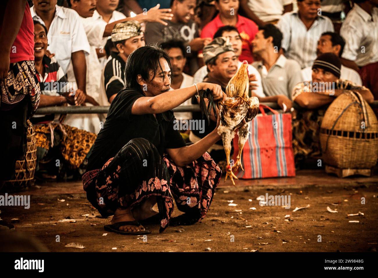 Cockfight a Denpasar, Bali. Foto Stock