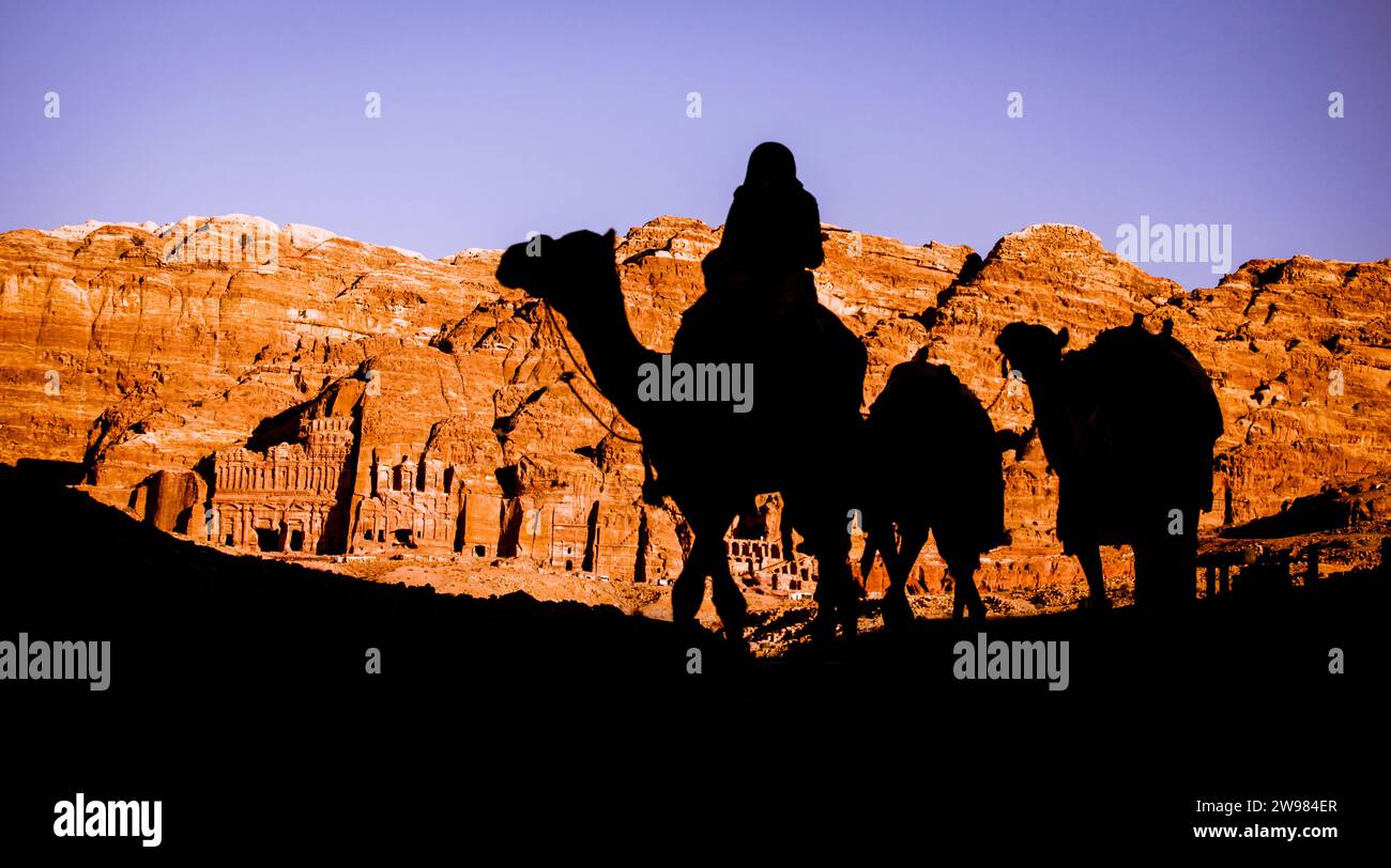 Silhouette di cammelli e un pilota a Petra, Jordan Foto Stock