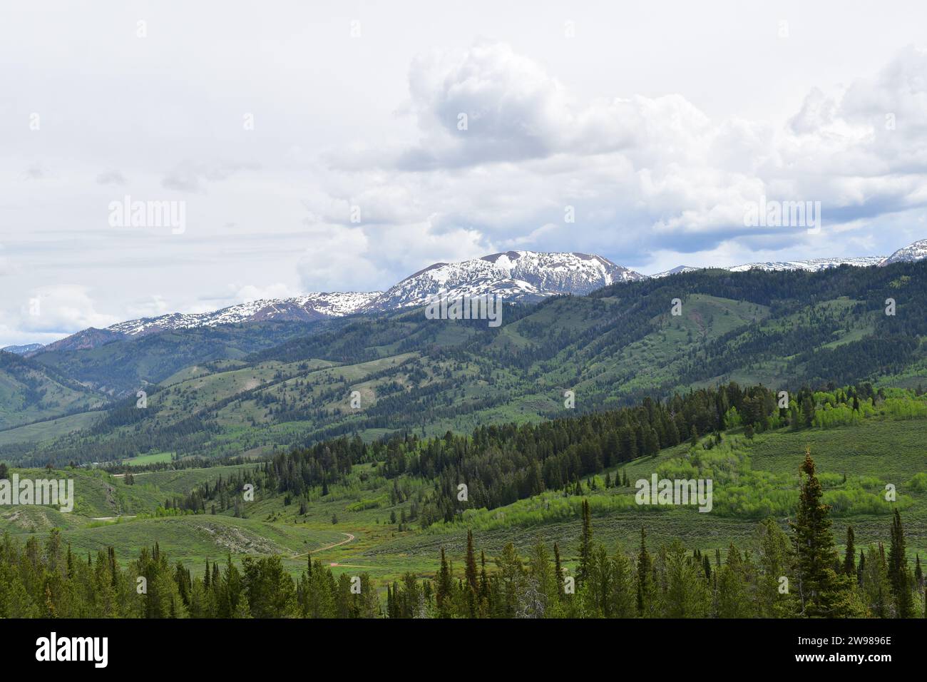 Vista del maestoso paesaggio del Wyoming e delle Montagne Rocciose dal punto panoramico Salt River Pass Foto Stock