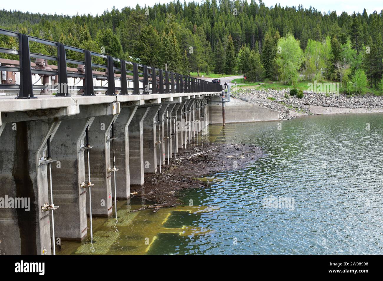 Raccolta di detriti di legno che galleggiano nelle acque cristalline all'ingresso della diga di Jackson Lake Foto Stock