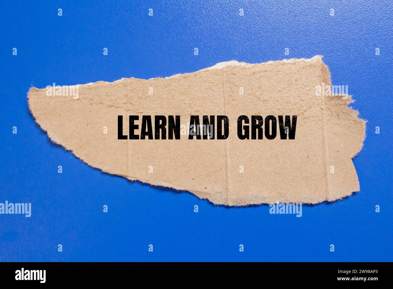 Imparare e far crescere le lettere sulla carta strappata. Foto concettuale. Foto Stock