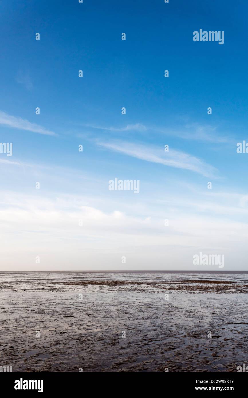 Vista sul Wash durante la bassa marea da Snettisham nel Norfolk occidentale. Foto Stock