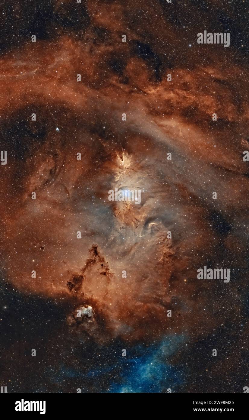 Il Cluster dell'albero di Natale è un giovane grappolo aperto situato nella costellazione Monoceros. Fa parte della regione di formazione stellare NGC 2264. Foto Stock