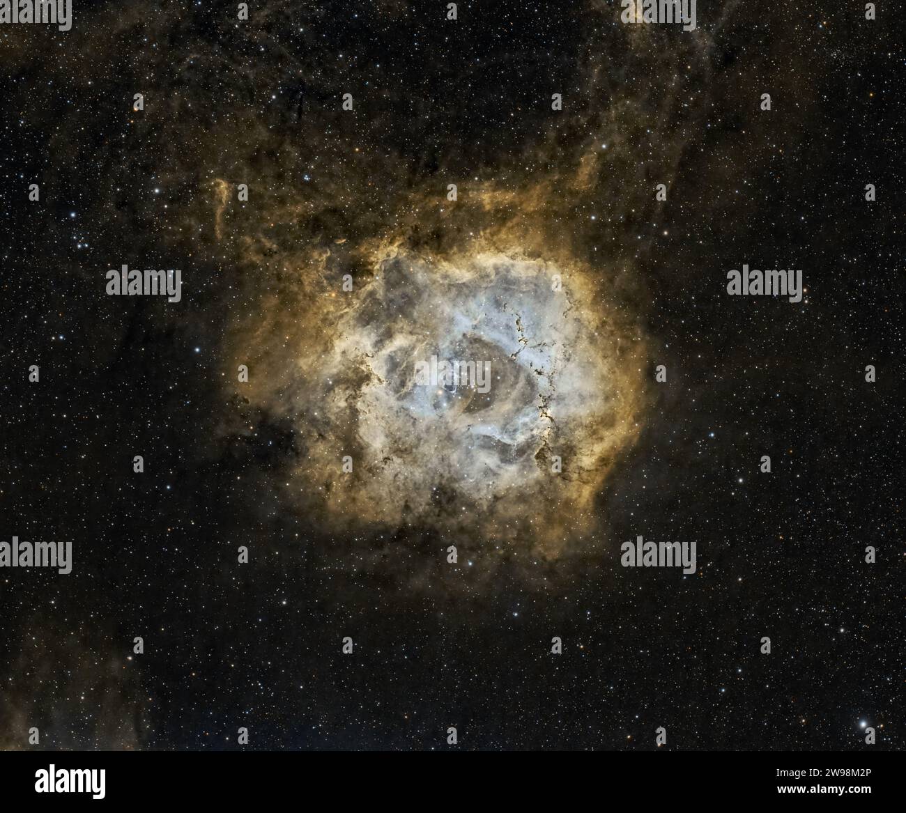 Ammira la bellezza eterea della Nebulosa Rosette, un fiore cosmico che fiorisce nel vasto giardino dell'universo. Foto Stock