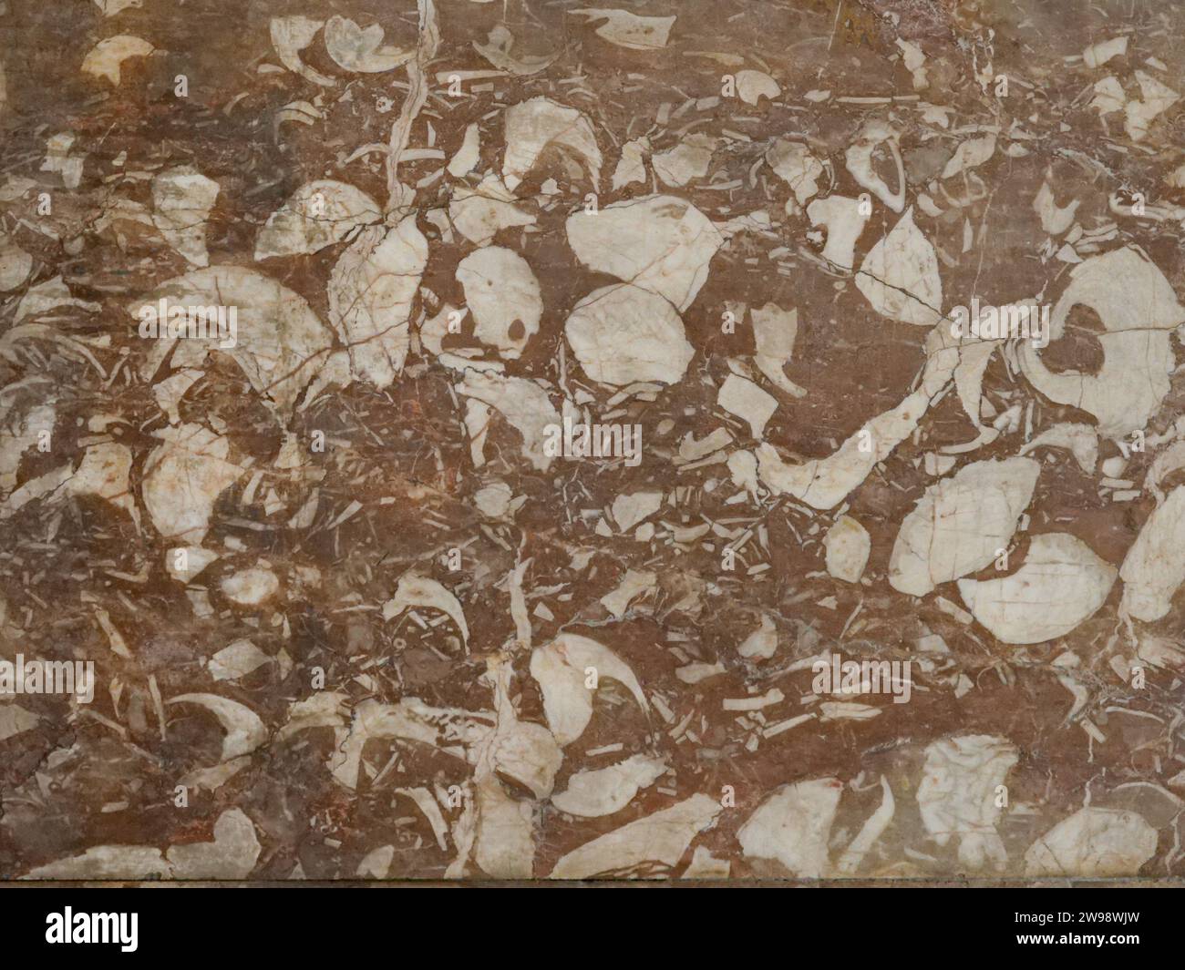 Superficie in marmo con un motivo insolito in St. Cattedrale di San Marco a Venezia in tonalità marrone e beige. Può essere utilizzato molto bene come sfondo astratto. Foto Stock
