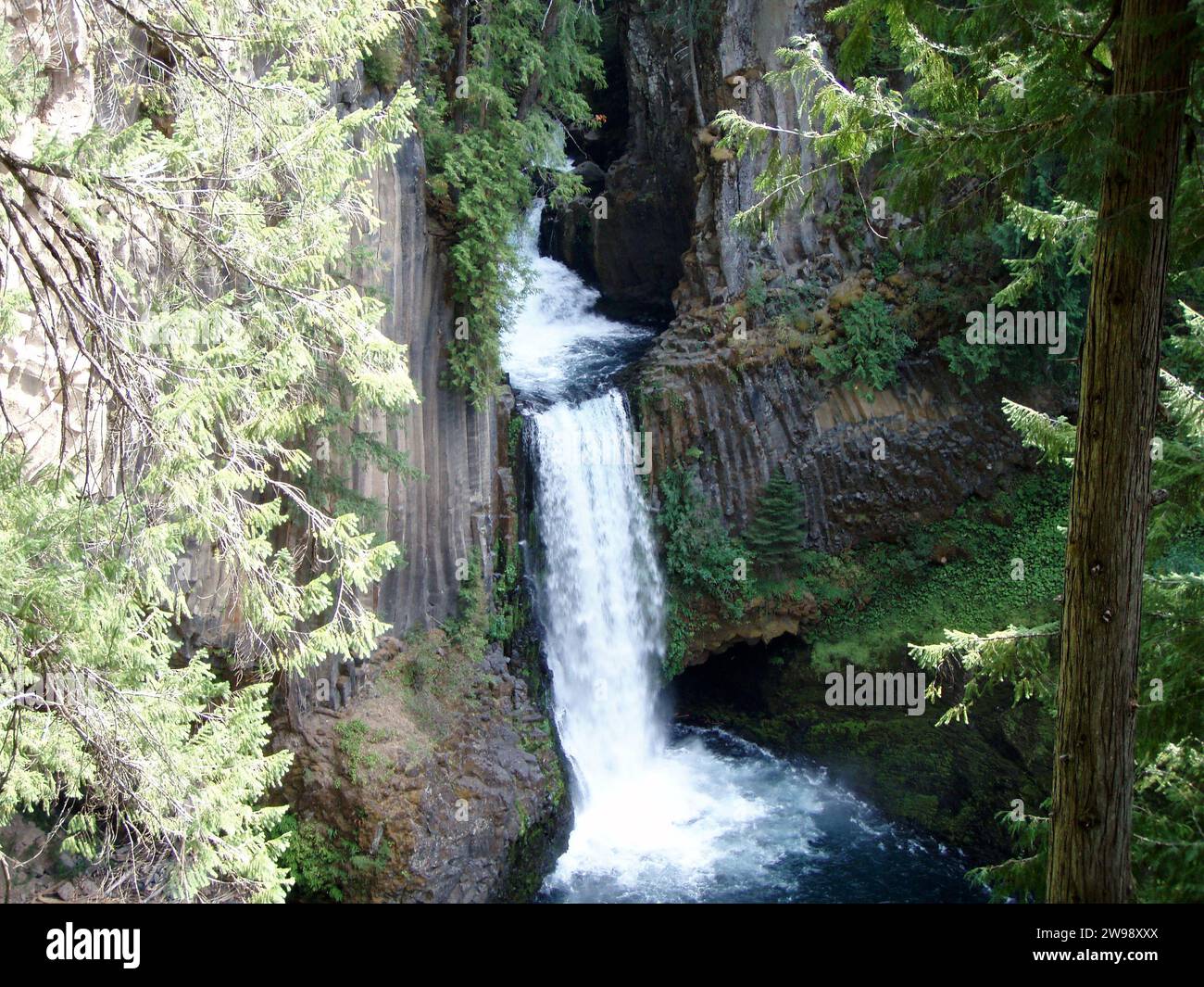 La pittoresca cascata dell'Oregon che scende lungo una gola rocciosa circondata da una vegetazione lussureggiante. Foto Stock