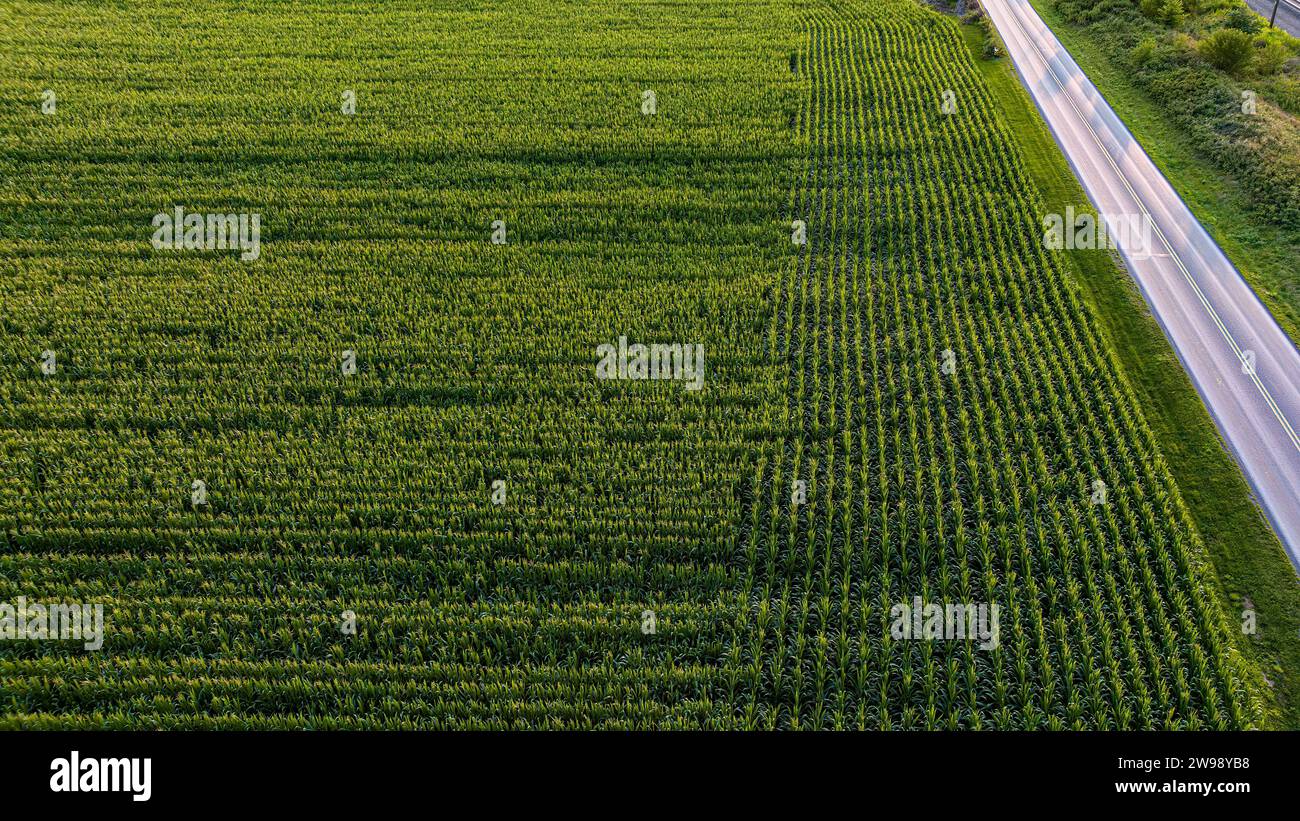 Vista aerea di un'autostrada che corre lungo una grande azienda agricola Foto Stock