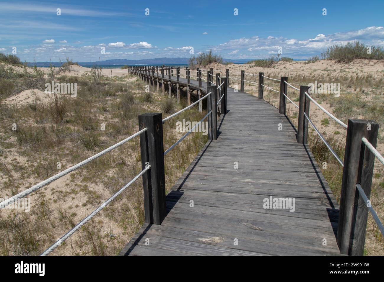Un sentiero in legno adagiato su uno sfondo di alta erba marrone nel Delta dell'Ebro Foto Stock