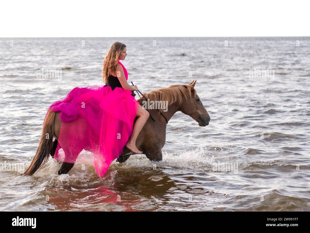 Una giovane donna attraente con un vestito rosa e il suo cavallo su una spiaggia Foto Stock