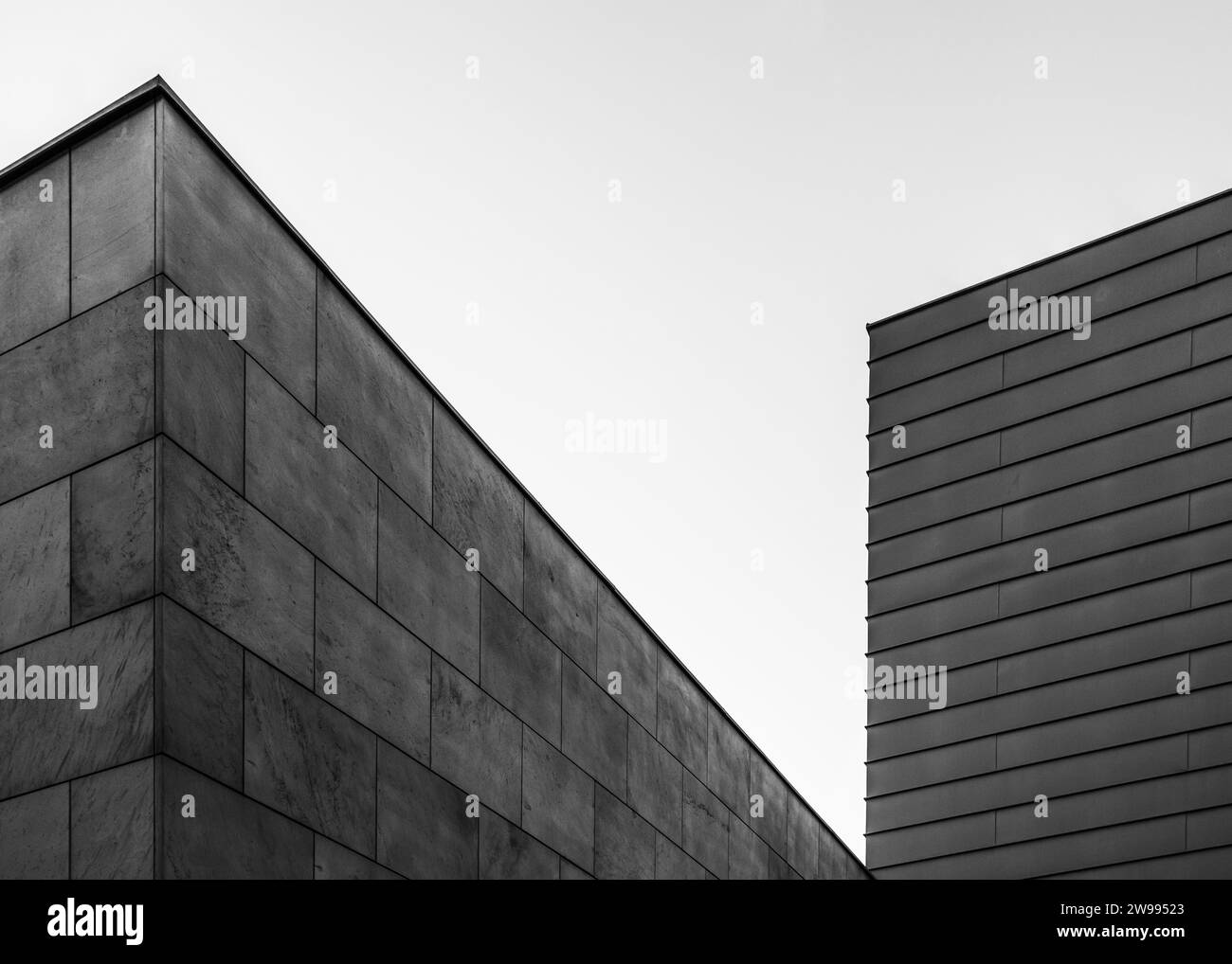 Una fotografia in bianco e nero di due edifici in cemento affiancati Foto Stock