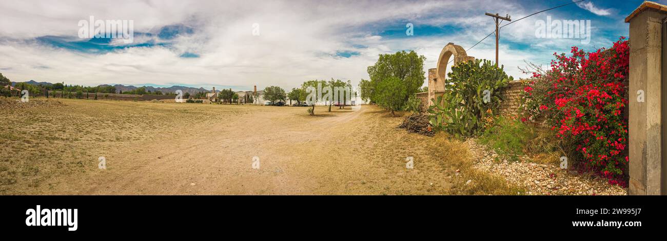 Vista di un deserto con cielo blu e terra con piante Foto Stock