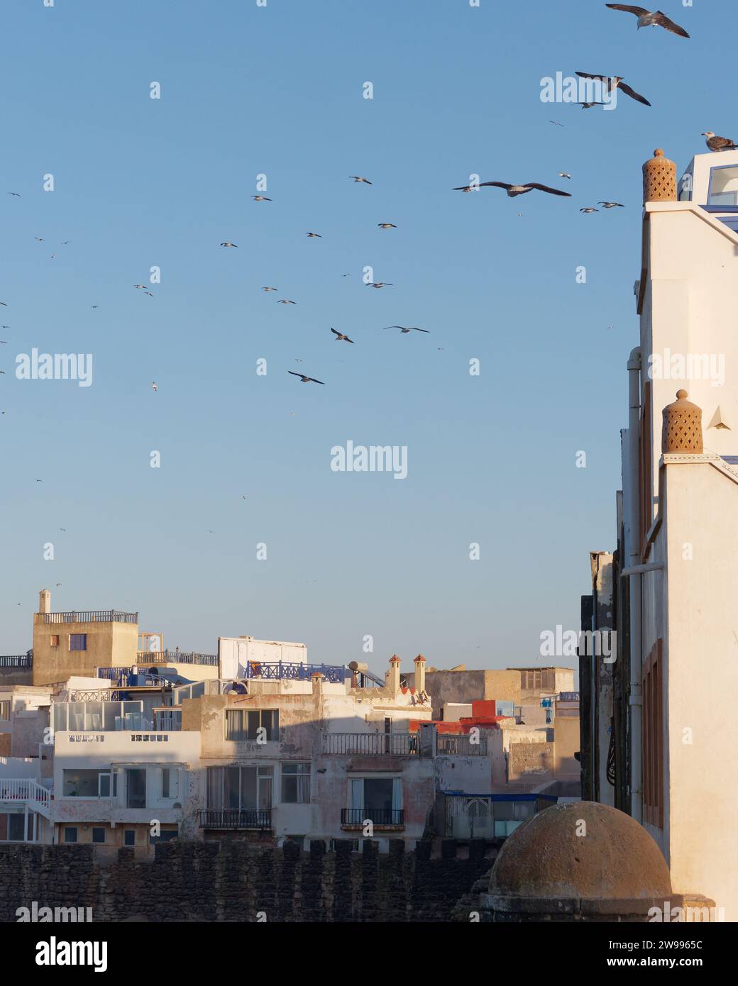 Gli uccelli volano in formazione sopra l'edificio nella medina di Essaouira, in Marocco. 24 dicembre 2023 Foto Stock
