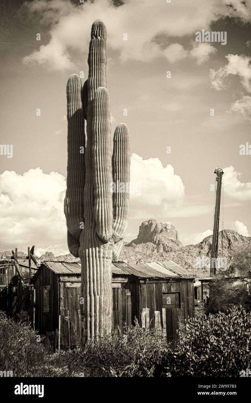 Storico castello Dome City. Arizona, USA. Foto Stock