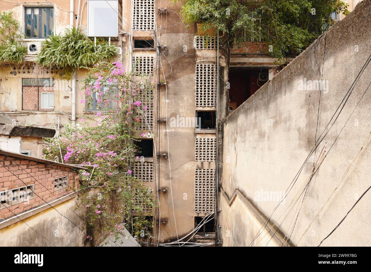 Vecchio edificio residenziale con piante che crescono sulle pareti, concetto di paesaggio urbano Foto Stock