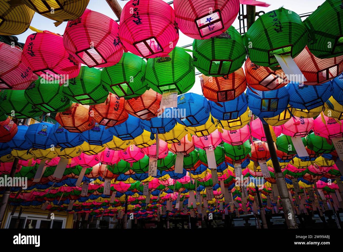 Un baldacchino di lanterne di carta colorata al Tempio di Haedong Yonggungsa. Foto Stock