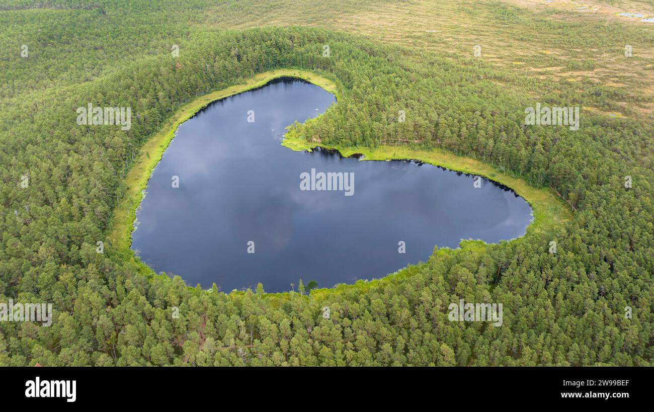 Vista aerea del lago boschivo a forma di cuore circondato da alberi verdi e dalla linea smeraldo di muschi sulla costa in Estonia Foto Stock