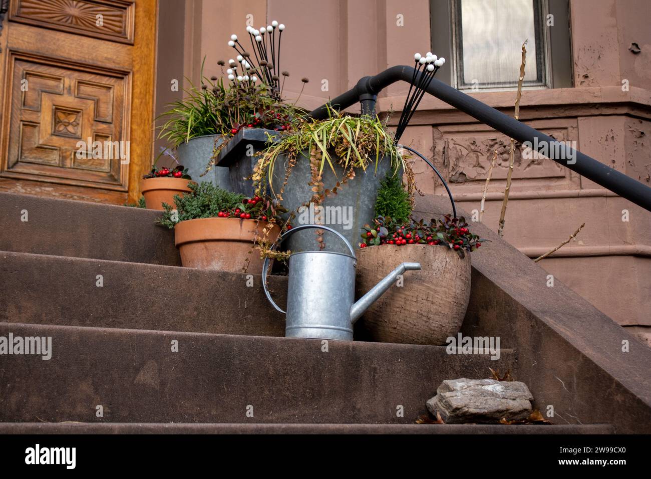 Un primo piano di una pianta in vaso su una serie di scale a Brooklyn, New York Foto Stock