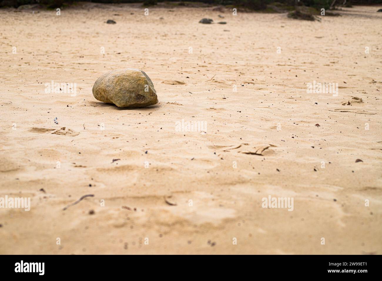 La foresta di Fontainebleau, con un paesaggio pittoresco con sabbia dorata Foto Stock