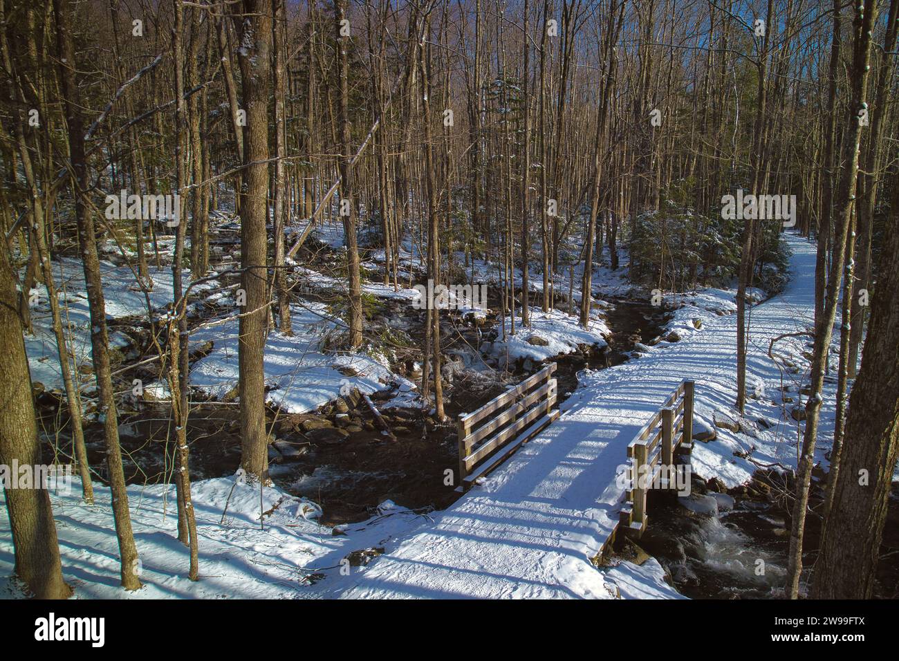 Una vista panoramica invernale di un sentiero innevato che attraversa una pittoresca foresta. Waterloo, Quebec Foto Stock