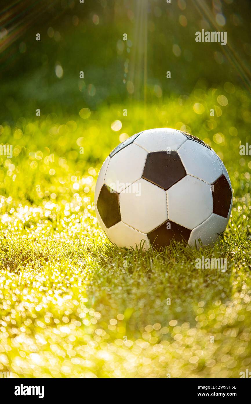 Una palla da calcio nel gras con un bastone di luce solare Foto Stock