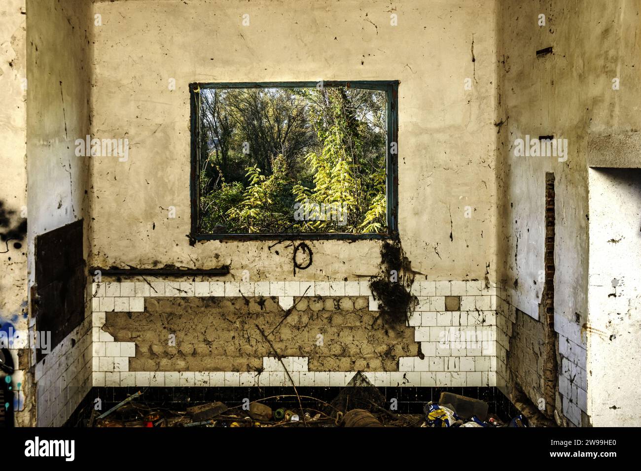 Un edificio abbandonato con molti deterioramenti e una finestra che si affaccia su una foresta Foto Stock