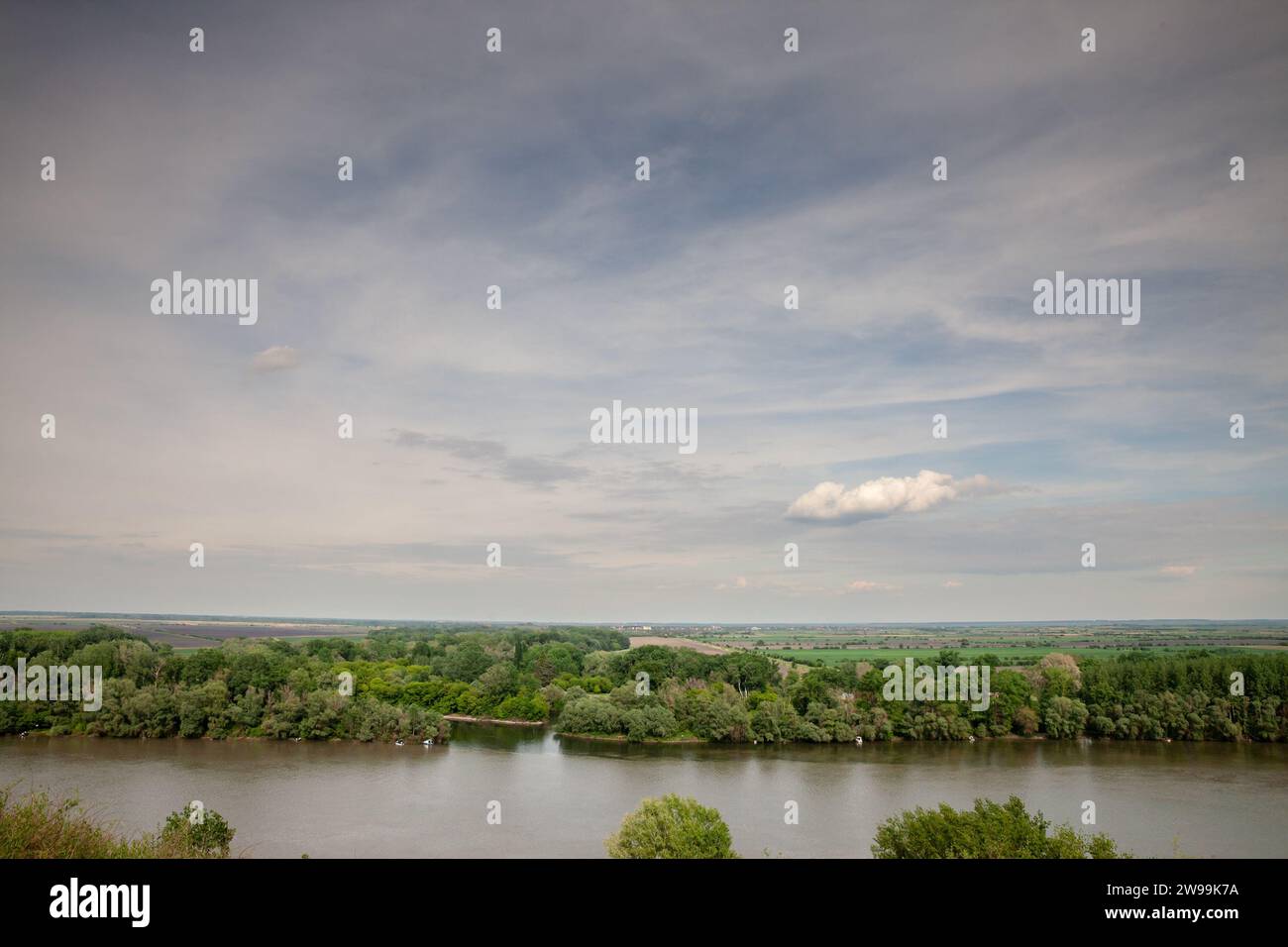 Immagine di un campo e di un cielo blu in estate, sul bregg di titelski, o collina di titel, vicino al fiume tisa. Il Tisza, Tysa o Tisa, è uno dei maggiori fiumi o Foto Stock