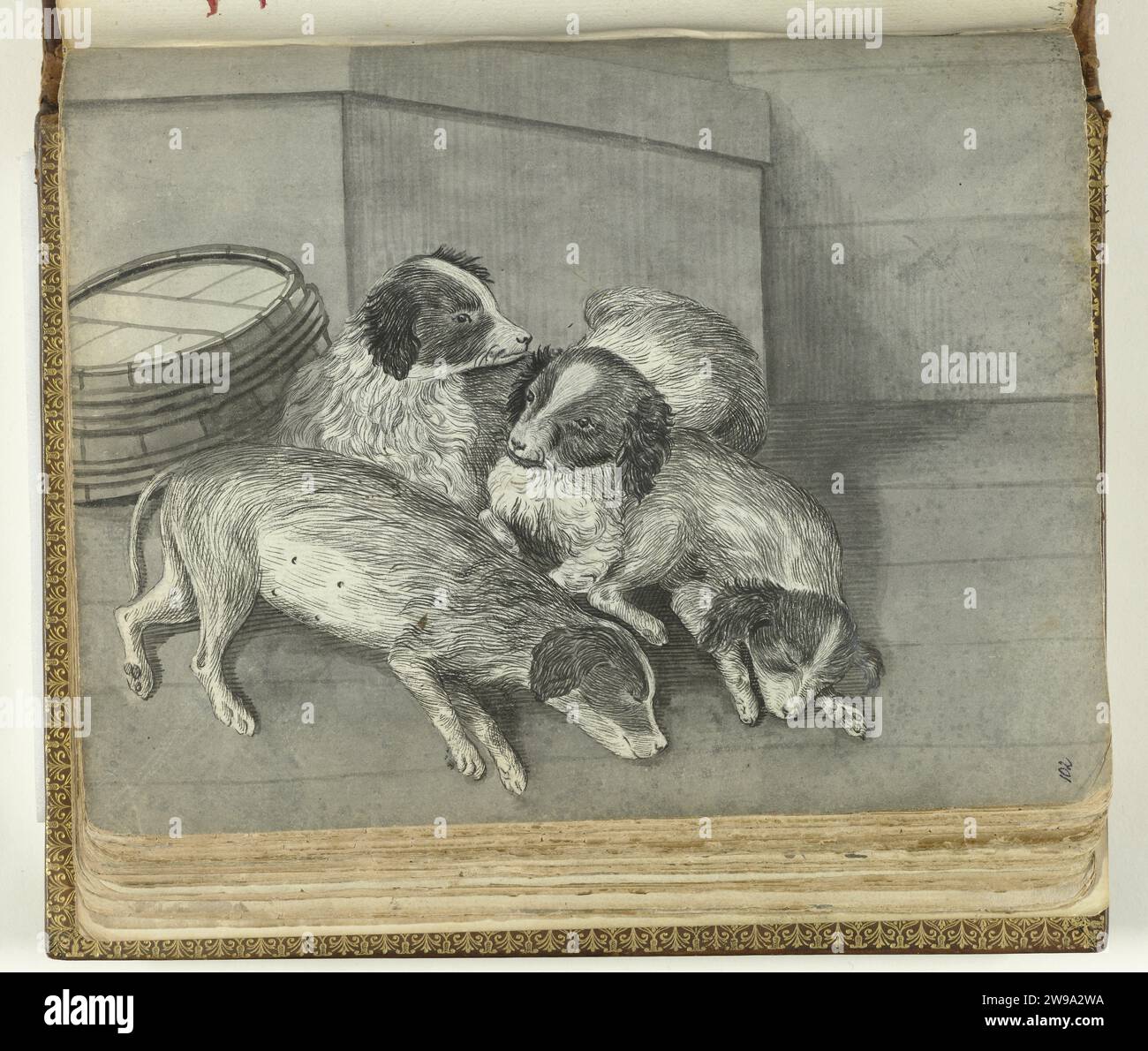 Cani, Jan Brandes, 1770 - 1808 disegno bianco-nero di quattro (giovani) cani su un pavimento di una vasca. Parte del libro degli schizzi di Jan Brandes, dl. 2 (1808), pag. 102. carta. matita. cane pennello inchiostro Foto Stock