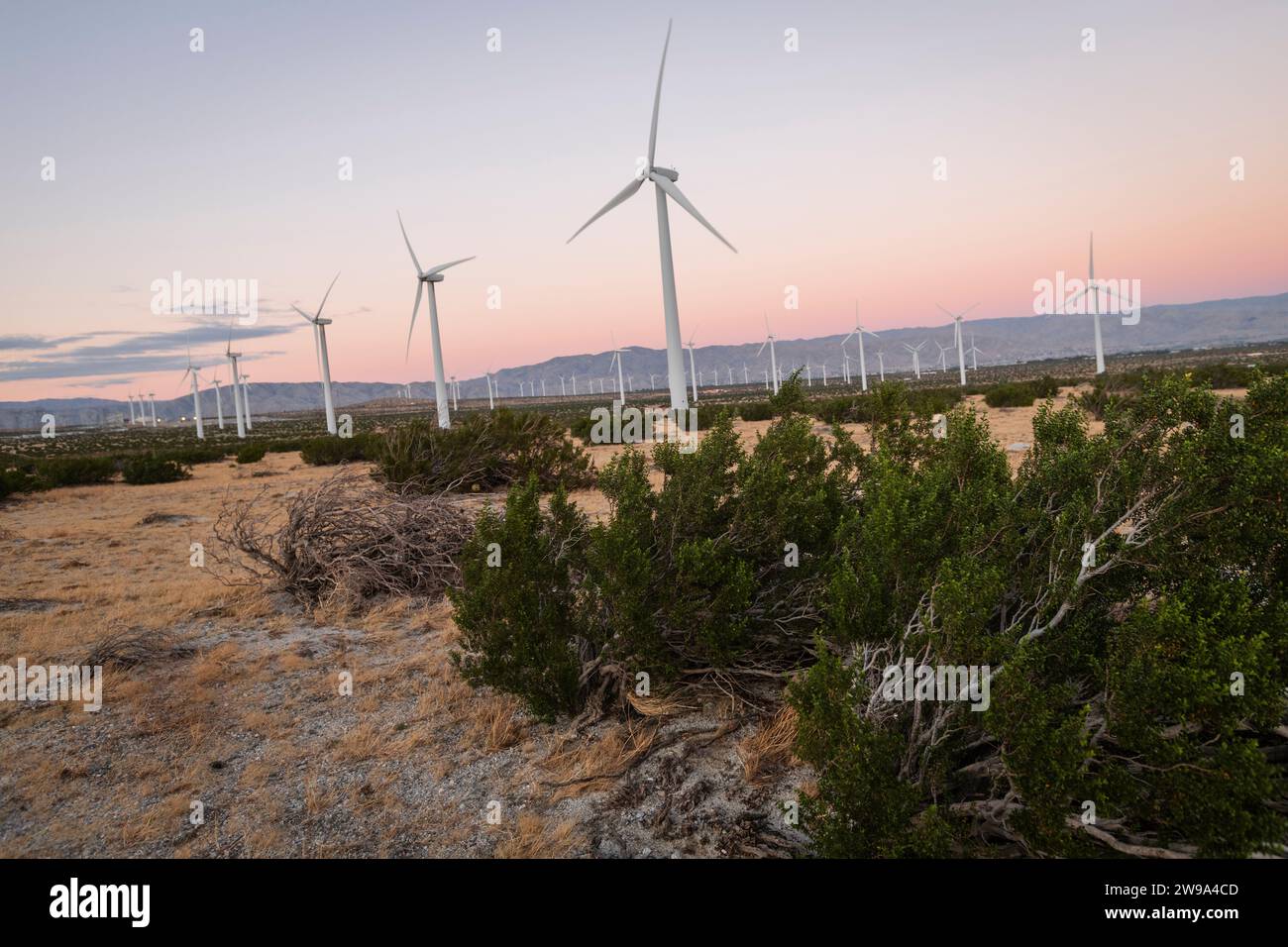 WHITEWATER, Calif (23 dicembre 2023) turbine eoliche presso il parco eolico del passo di San Gorgonio a fine giornata. L'area è una zona di transizione, da una Mediterra Foto Stock