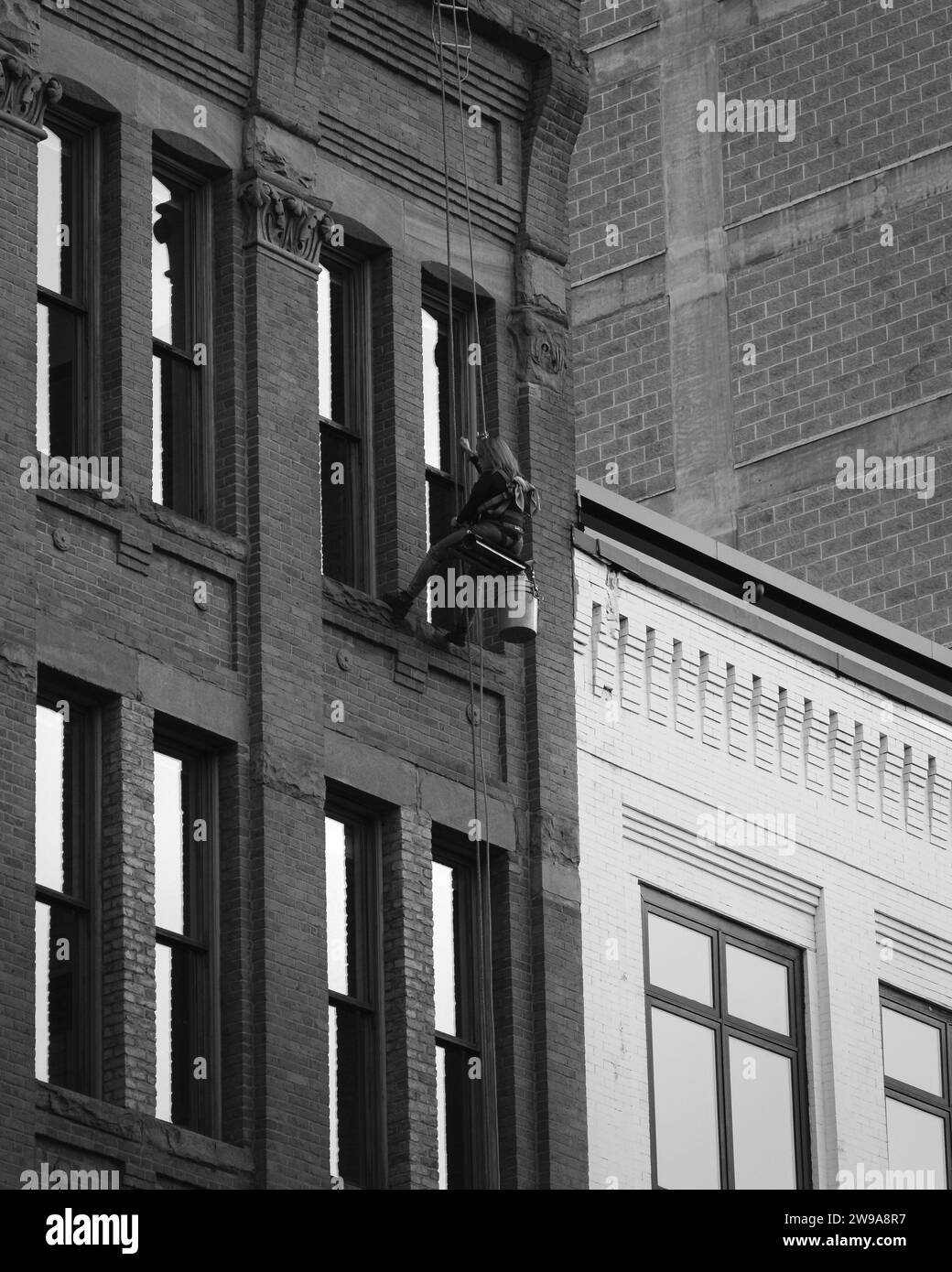 Una donna che pulisce la finestra di un edificio a Seattle, Washington, USA, in scala di grigi Foto Stock