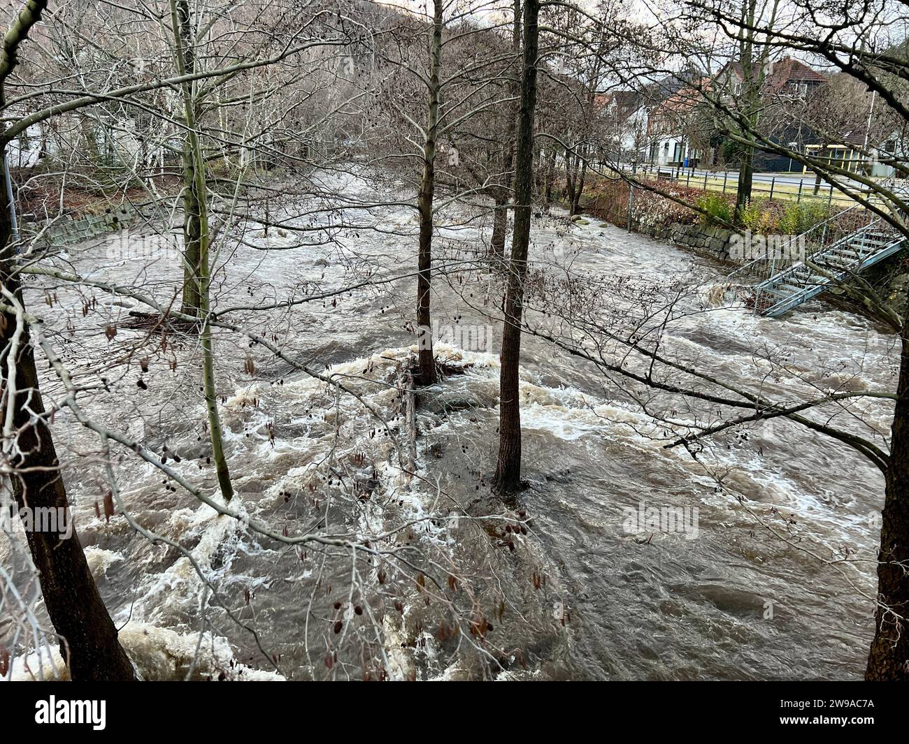 Oker, Germania. 26 dicembre 2023. L'inondazione del fiume Oker inonda parzialmente il lungomare di Oker. L’Agenzia statale della bassa Sassonia per la gestione delle acque, la protezione delle coste e la conservazione della natura (NLWKN) ha avvertito di un ulteriore peggioramento della situazione delle inondazioni nei bacini fluviali dell’Oker e dell’Innerste. Crediti: Thomas Schulz/dpa/Alamy Live News Foto Stock