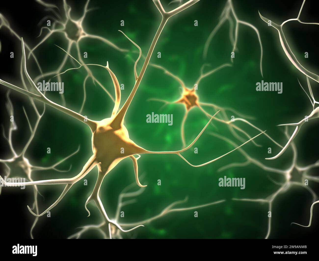 Rete di neuroni nel cervello umano. Illustrazione digitale. Foto Stock