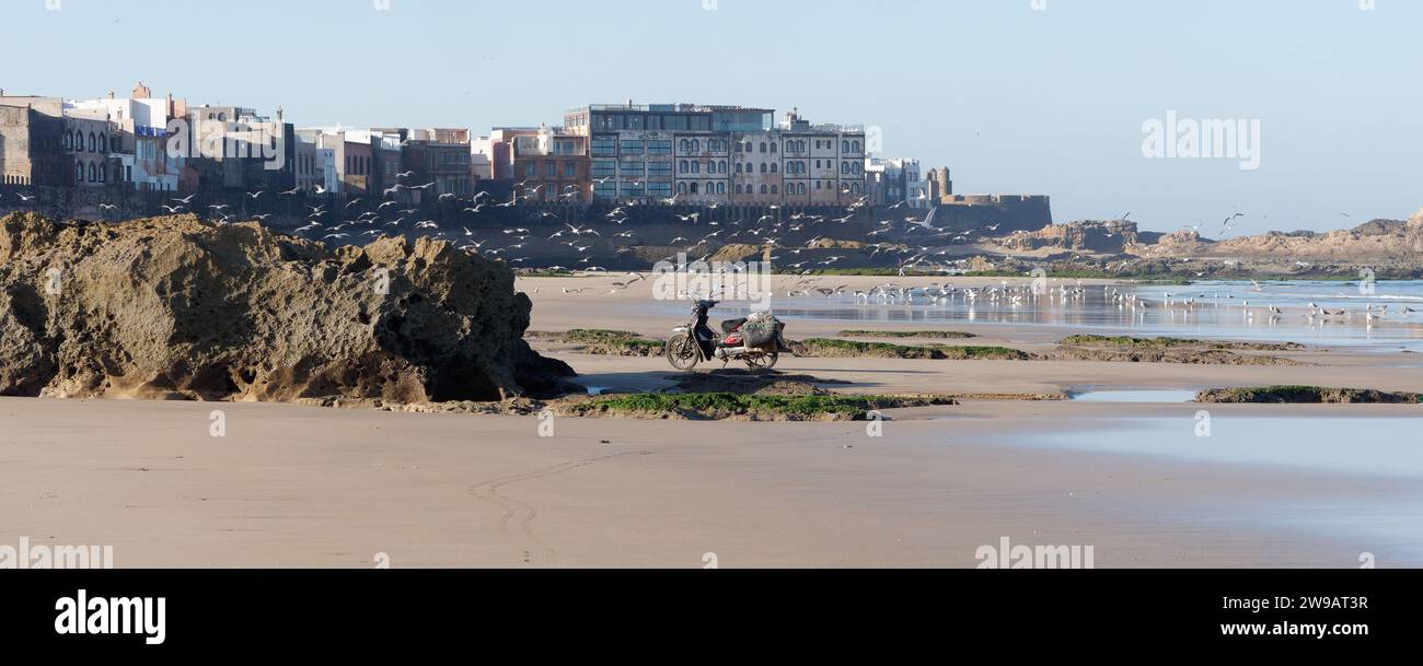 Moto accanto a una roccia su una spiaggia sabbiosa con piscine d'acqua mentre i gabbiani si innalzano, con la storica medina alle spalle. Essaouira, Marocco. 26 dicembre 2023 Foto Stock