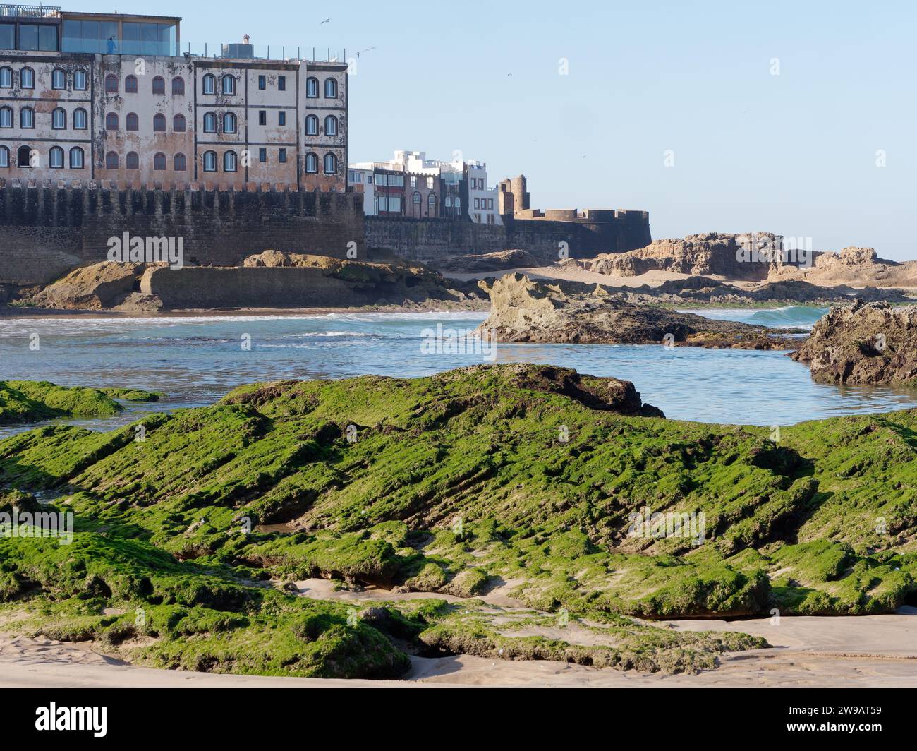 Costa rocciosa con muschio accanto alla storica Medina e alla fortezza di Essaouira, Marocco. 26 dicembre 2023 Foto Stock