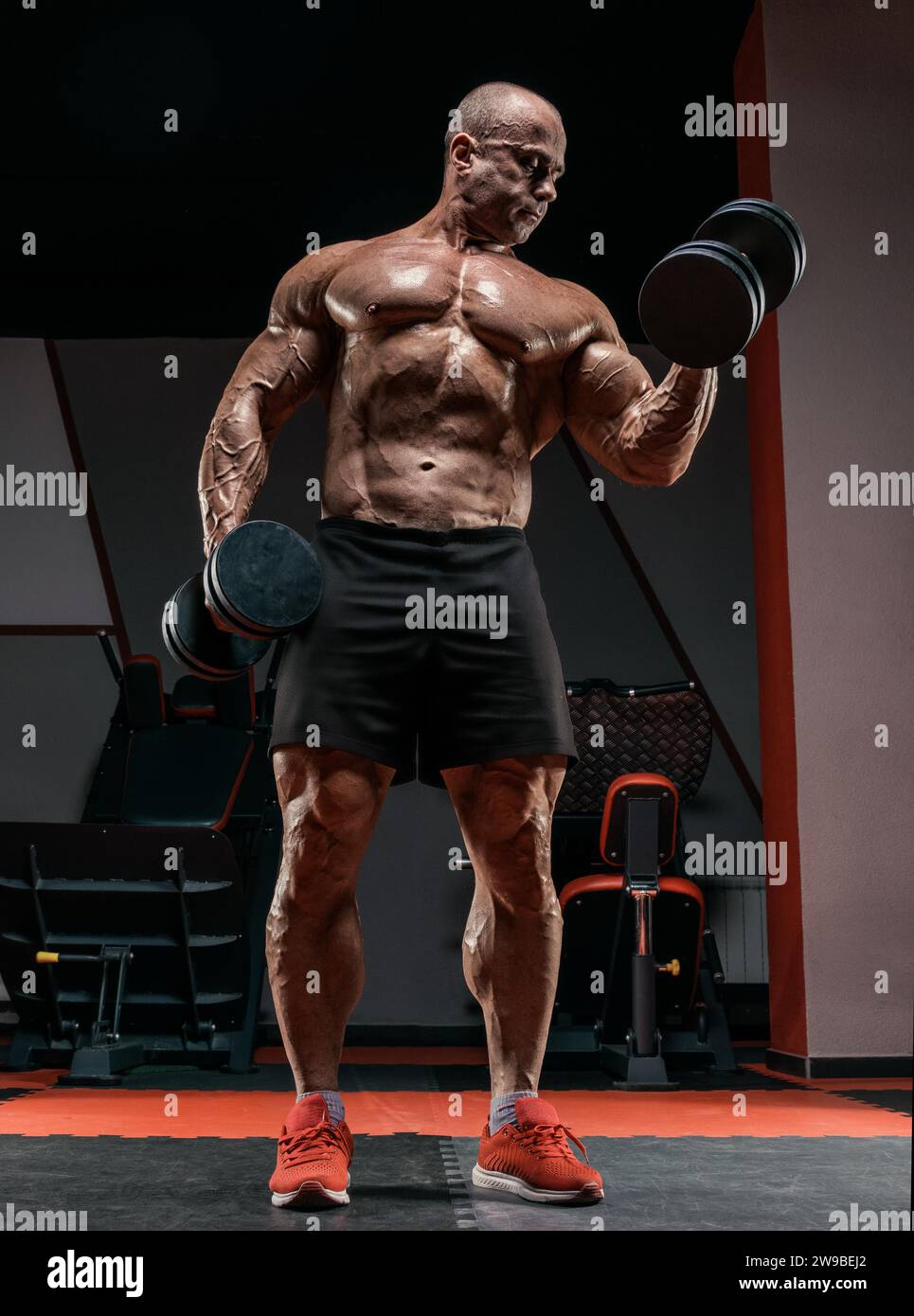 Il sollevatore professionista si sta allenando in palestra. Dumbbell Curl. Concetto di bodybuilding. Supporti misti Foto Stock