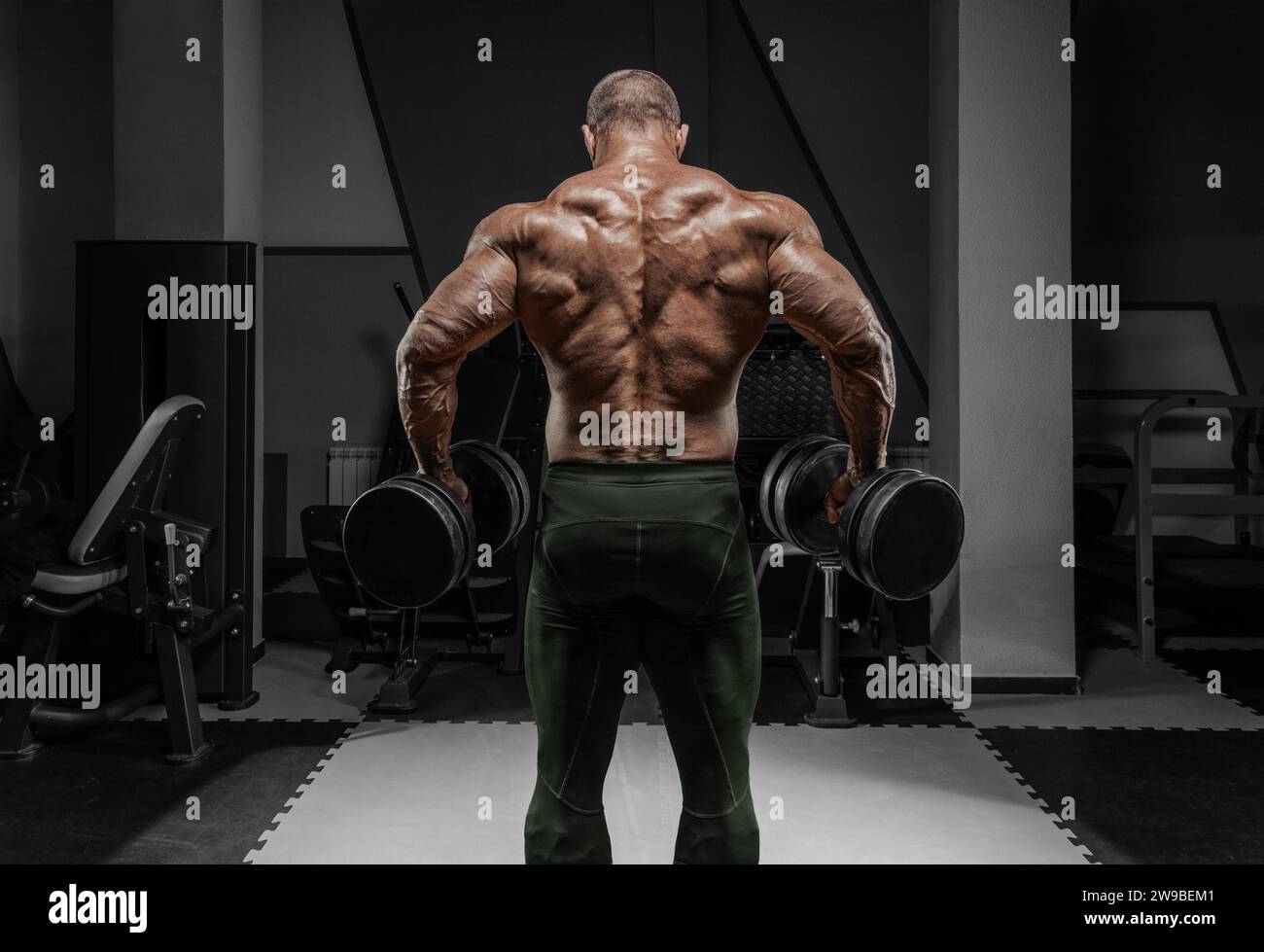 Il sollevatore professionista si sta allenando in palestra. Esercizi alla schiena. Concetto di bodybuilding. Supporti misti Foto Stock