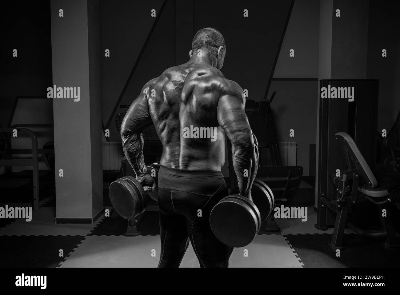 Il sollevatore professionista si sta allenando in palestra. Esercizi alla schiena. Concetto di bodybuilding. Supporti misti Foto Stock