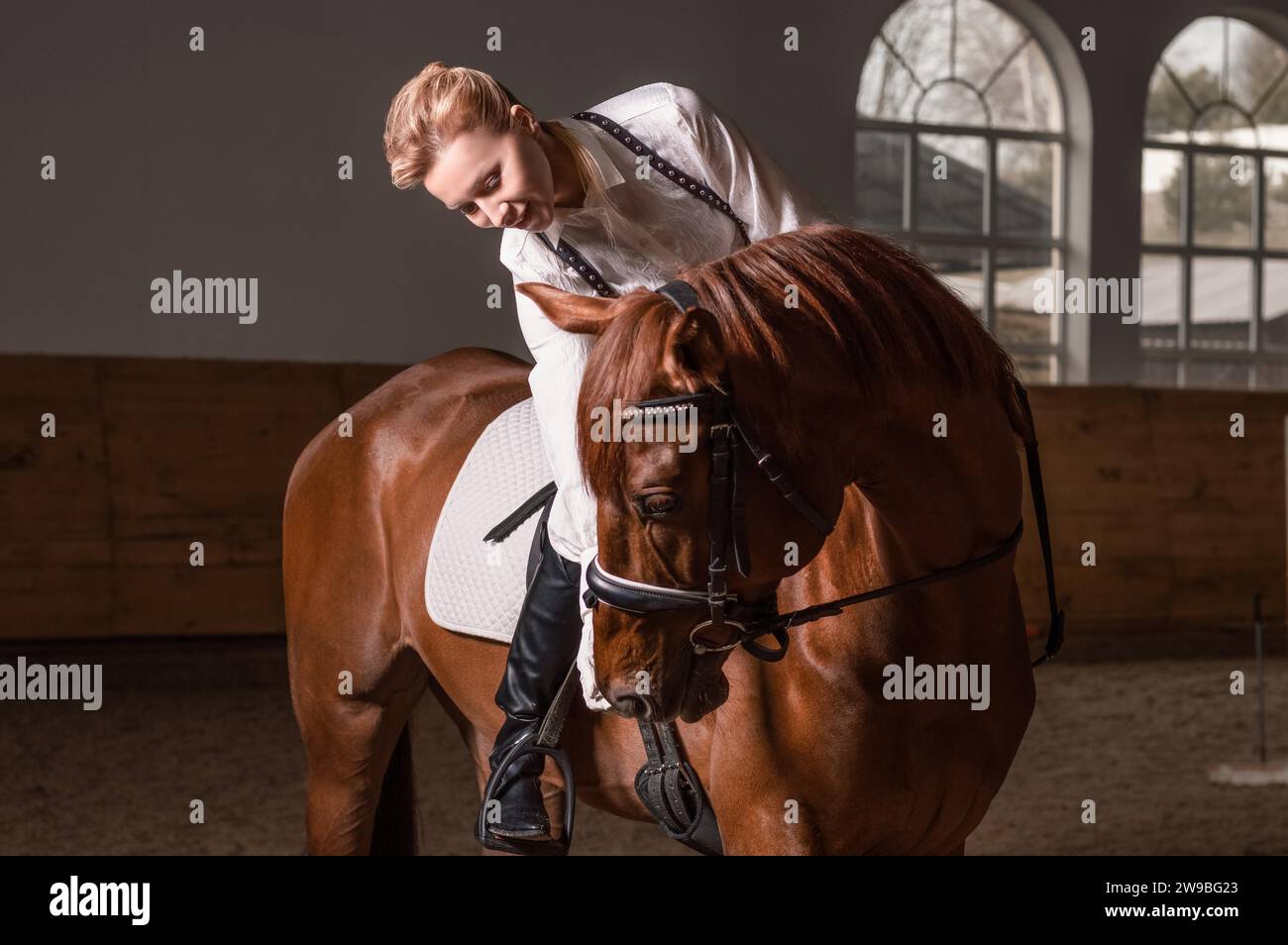 Immagine di una donna che cavalca un cavallo purosangue. Lo sfondo è un'arena di corse. Supporti misti Foto Stock