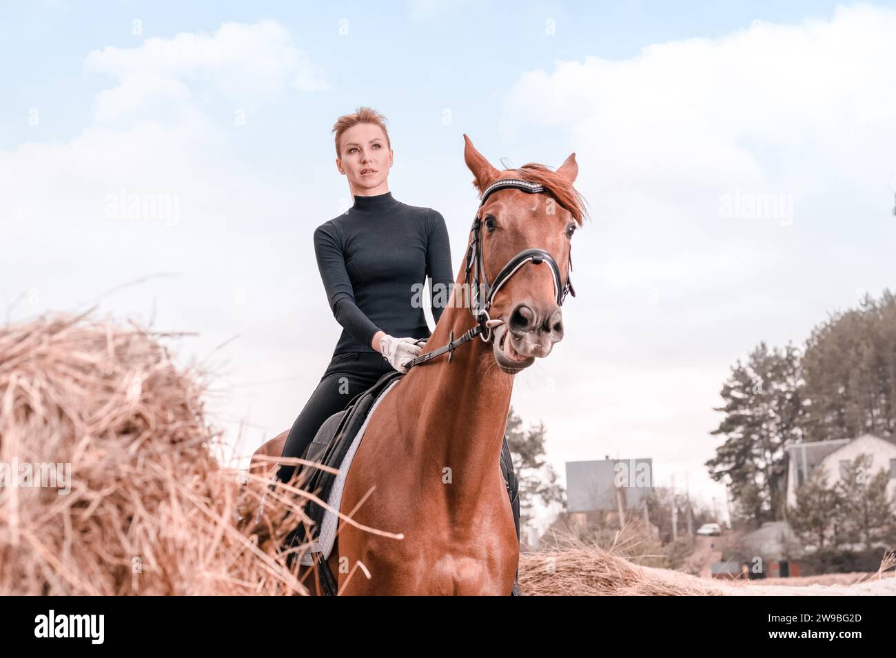Bella donna cavalca un cavallo. Concetto di sport equestre. Supporti misti Foto Stock