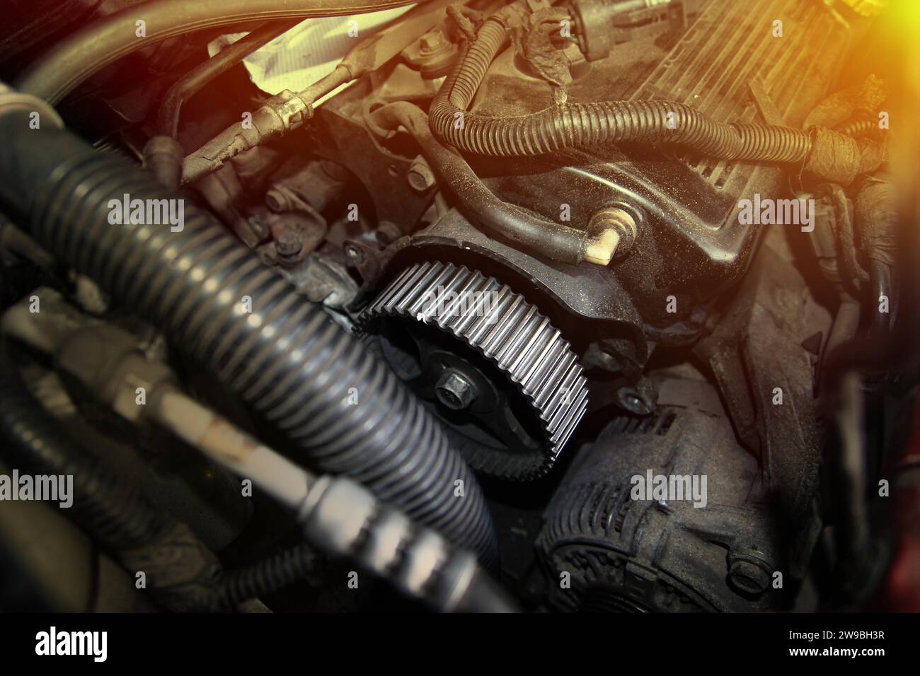 Sostituzione cinghia di distribuzione motore auto, riparazione auto, meccanico, guanto, viti, motore, officina Foto Stock