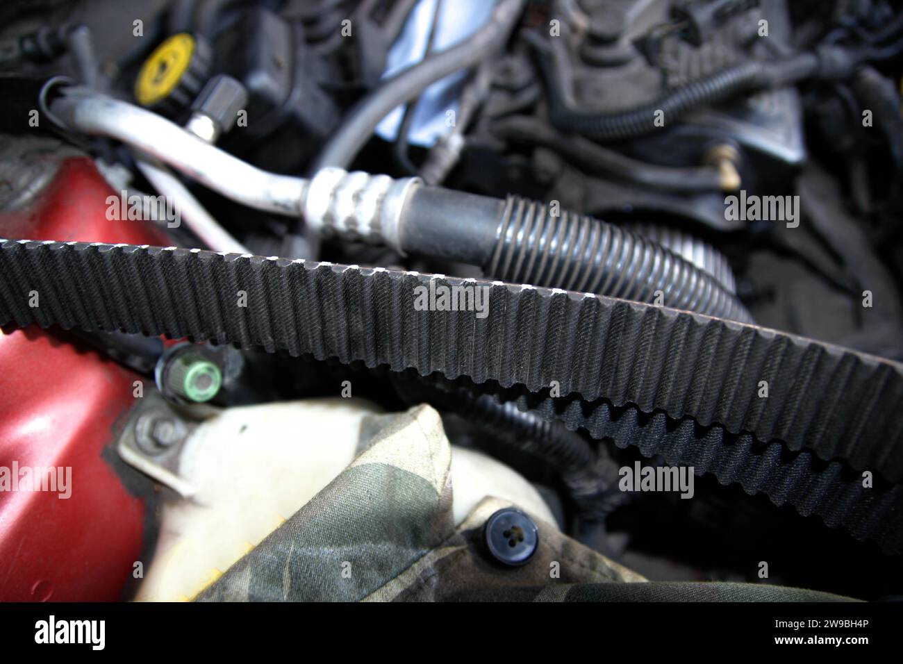 Sostituzione cinghia di distribuzione motore auto, riparazione auto, meccanico, guanto, viti, motore, officina Foto Stock