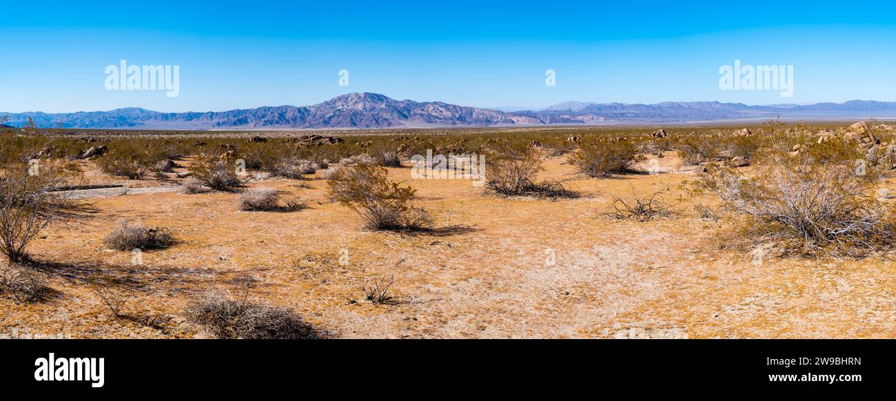 Formazione di roccia in un paesaggio arido, Joshua Tree National Monument, CALIFORNIA, STATI UNITI D'AMERICA Foto Stock