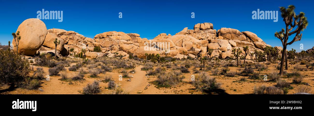 Formazione di roccia in un paesaggio arido, Joshua Tree National Monument, CALIFORNIA, STATI UNITI D'AMERICA Foto Stock