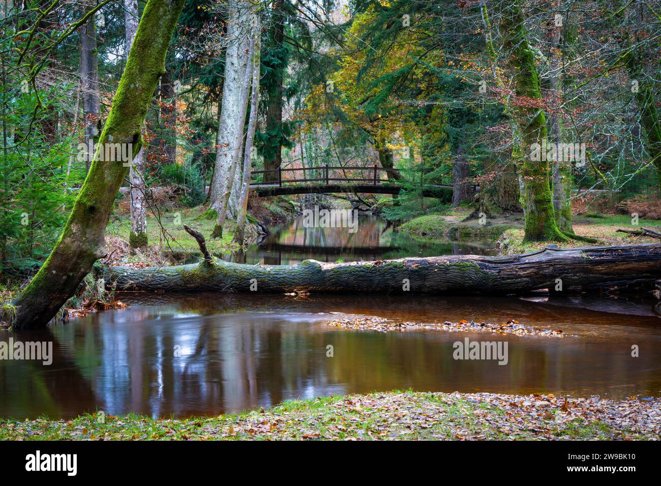 Rhinefield Bridge su Blackwater Stream, Ornamental Drive, Brockenhurst, New Forest, Hampshire, Regno Unito Foto Stock