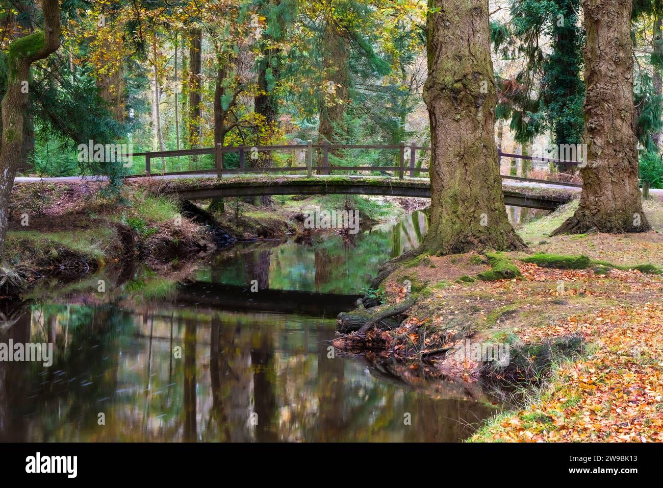 Rhinefield Bridge su Blackwater Stream, Ornamental Drive, Brockenhurst, New Forest, Hampshire, Regno Unito Foto Stock