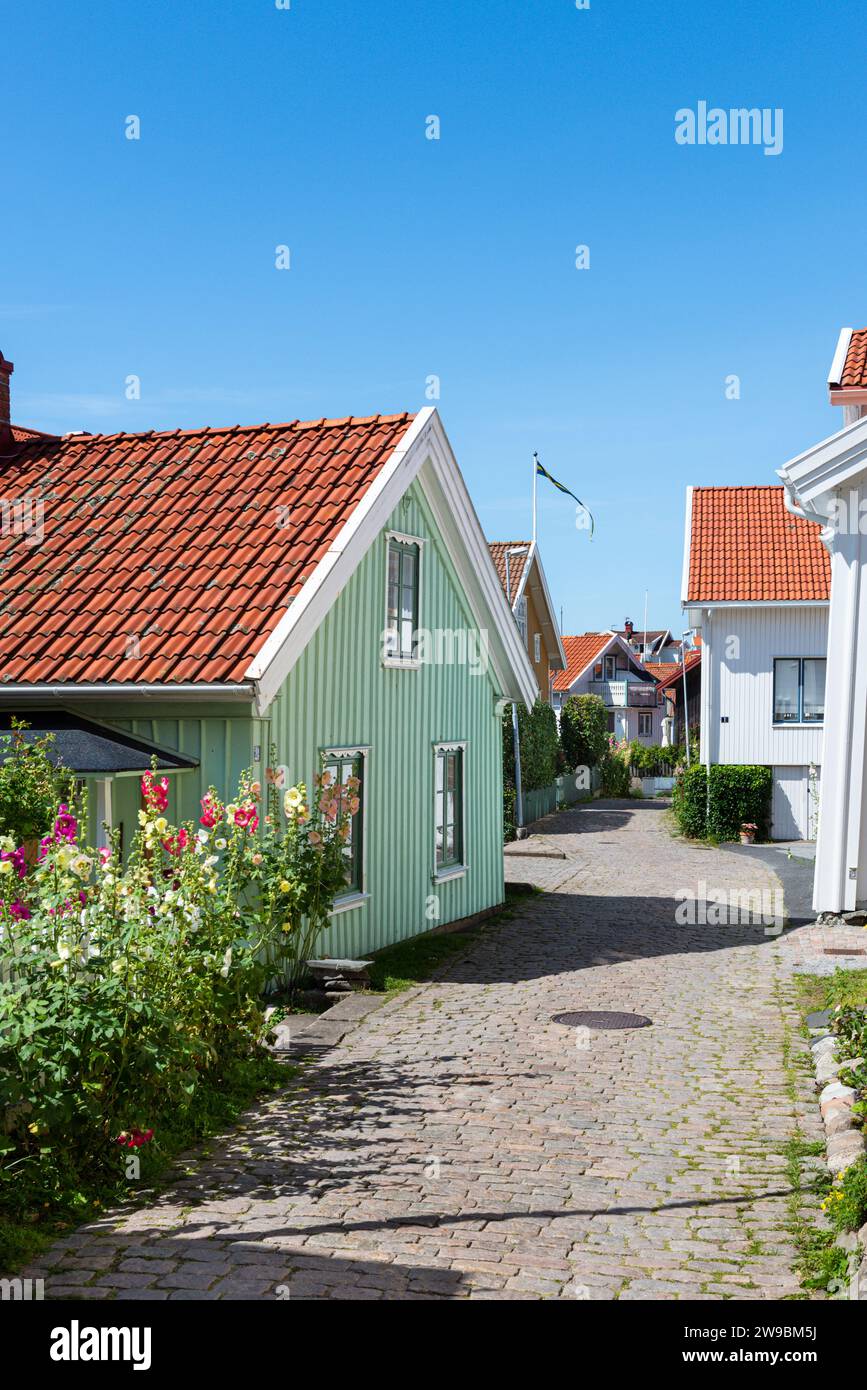 Hollyhocks di fronte alle facciate colorate della città vecchia di Mollösund, nell'arcipelago della costa occidentale svedese Foto Stock