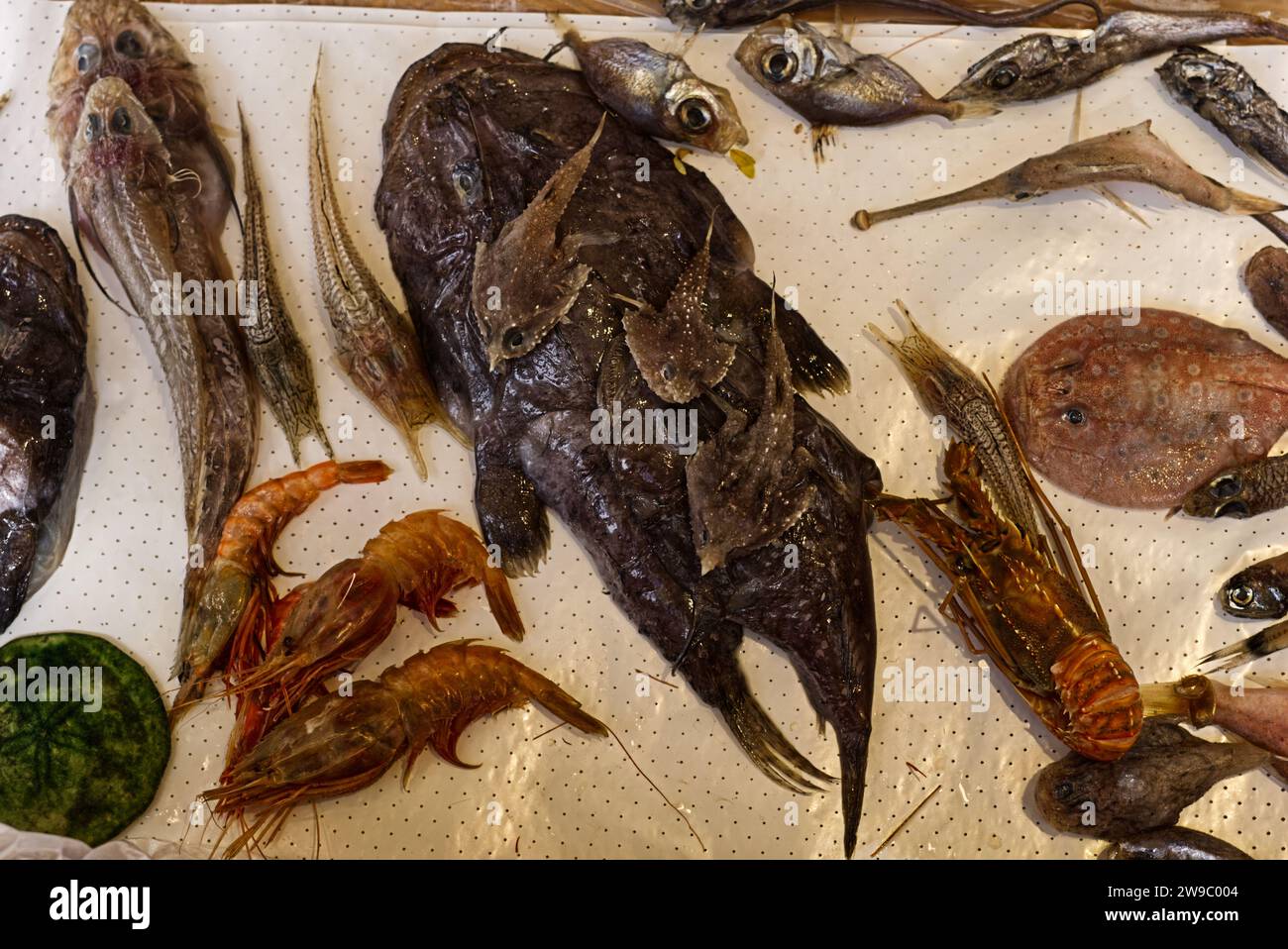 diversi tipi di pesce in vendita Foto Stock