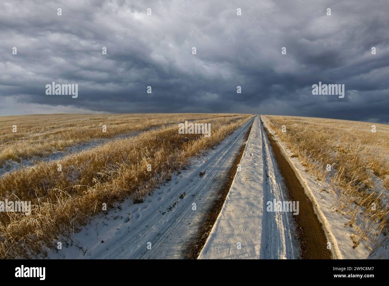 Strada sterrata ricoperta di neve attraverso un campo vuoto con nuvole di tempeste che si stanno diffondendo all'orizzonte Foto Stock